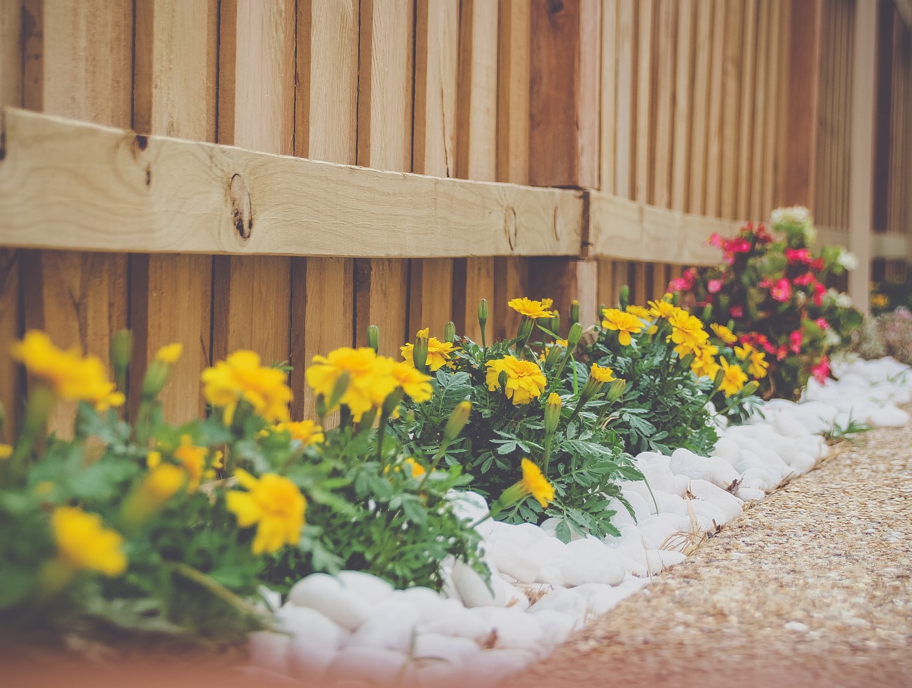 Bright flower border with clean stone edging along a fence