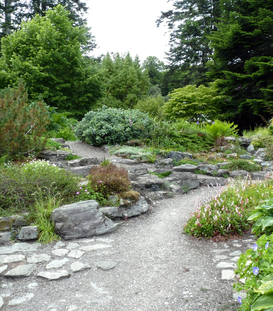 Naturalistic rock and gravel garden with drought-tolerant planting