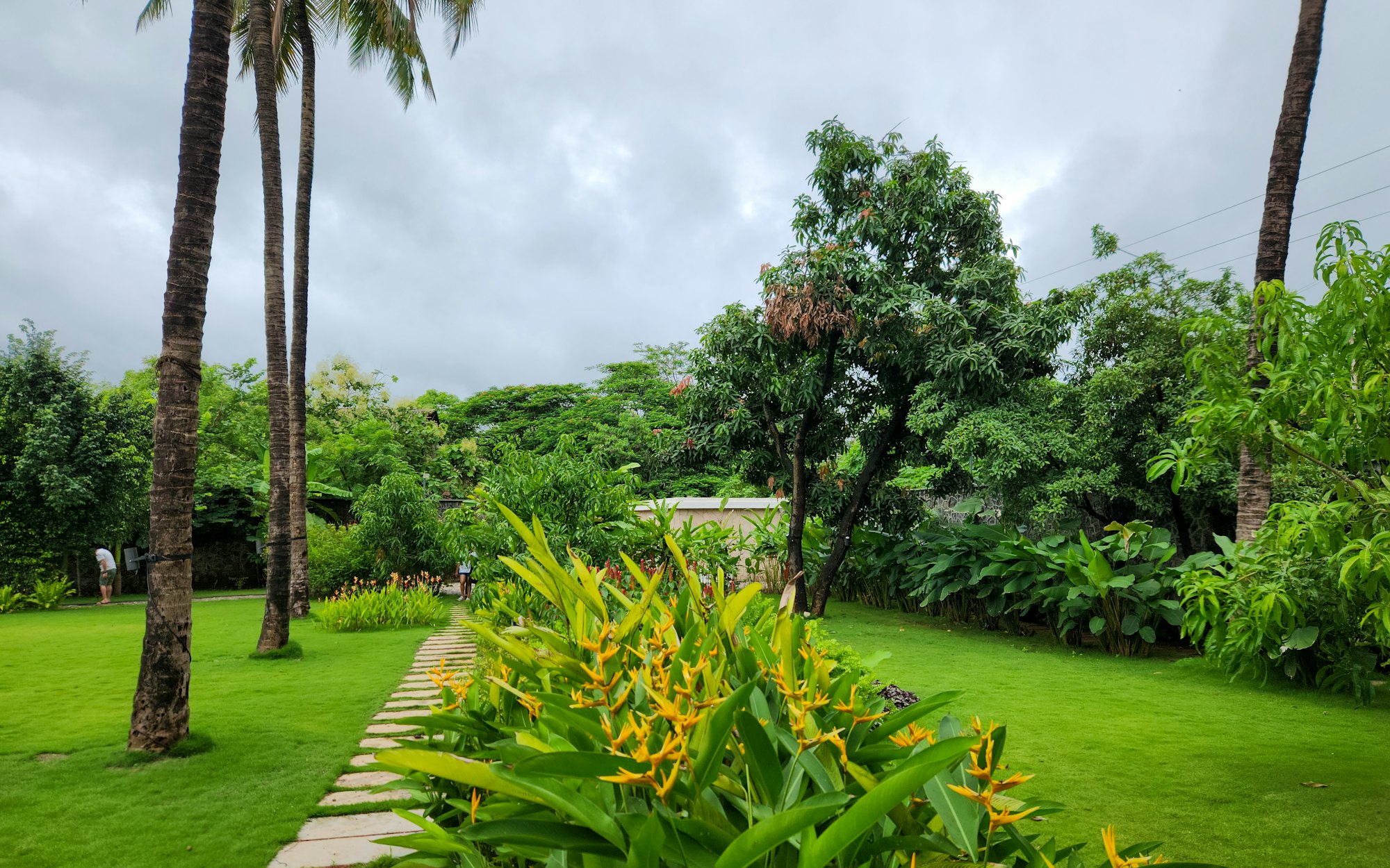 Lush, manicured landscaped garden with green lawn and layered planting beds