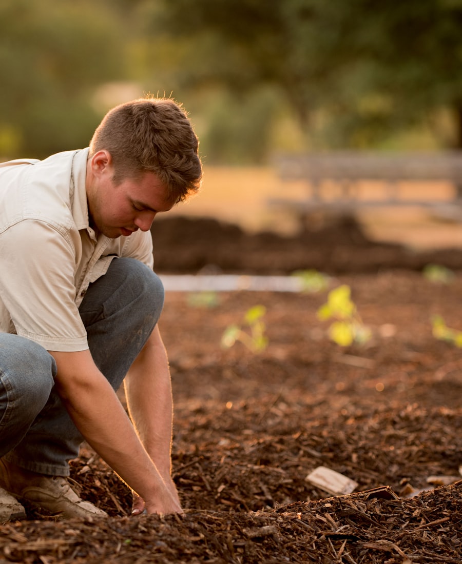 Landscaper kneeling to plant in a prepared garden bed
